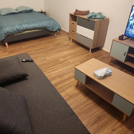 Plein Centre Apartment Malzéville Екстериор снимка