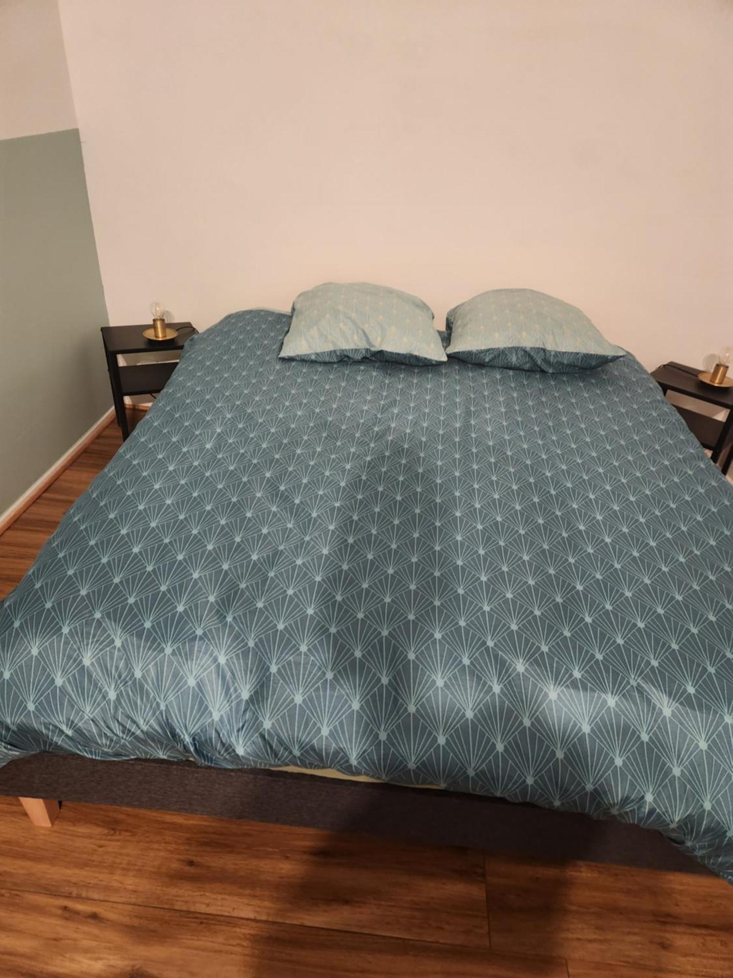 Plein Centre Apartment Malzéville Екстериор снимка
